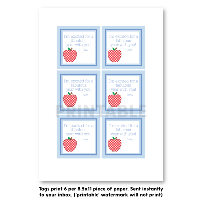 Printable Non-Personalized Red Gingham Apple Gift Tags