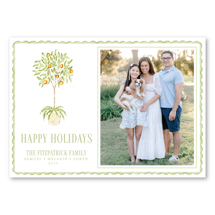 Orange Tree Holiday Card