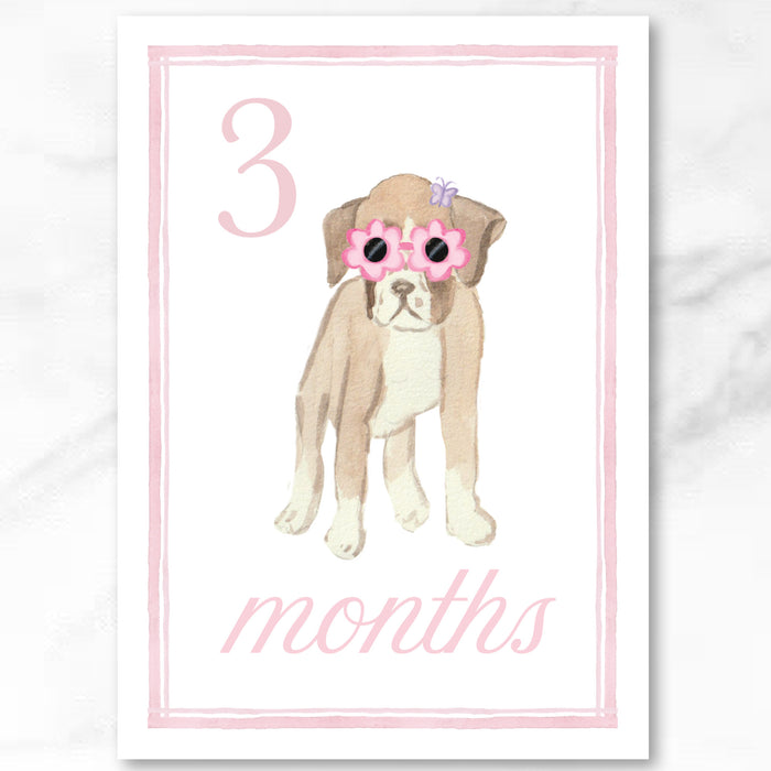 Pink Puppy Milestone Cards